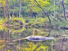 -玉渡山自然风景区