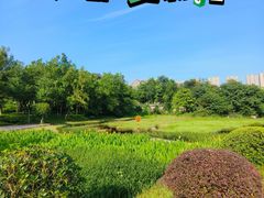 -重庆彩云湖湿地公园