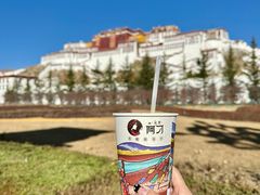 -布达拉宫