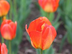 -长春公园(普阳街道)