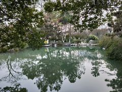 -青枫公园