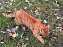 -河坊美食街(河坊街店)