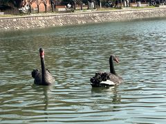 -上海交通大学(闵行校区)