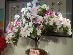 -汇龙潭