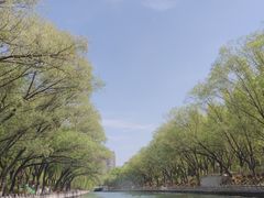 -皇家御河游(紫御湾码头)