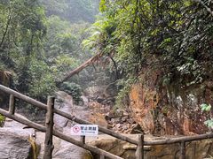 -鼎湖山风景区