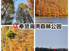 -上海海湾国家森林公园