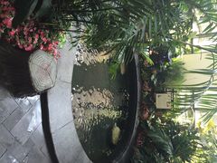 iphone_upload_pic-东方华地城湿地温泉度假区