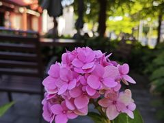 -北京石刻艺术博物馆(五塔寺)