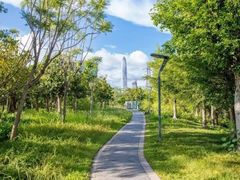 -福田红树林生态公园