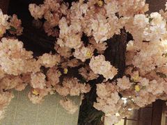 -九田家黑牛烤肉料理(太阳宫广场店)