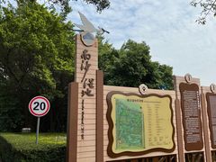 -大湾区中央湿地公园