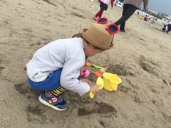 -碧海金沙