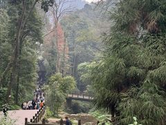 -青城山