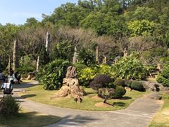 -深圳仙湖植物园