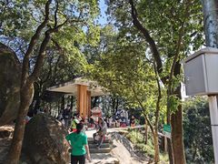 -火炉山森林公园