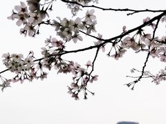 -百林公园-两江幸福广场