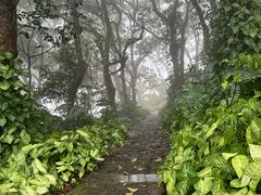 -海口火山口国家地质公园
