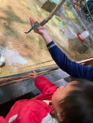 -酷嗒动物文化乐园(cutezoo西溪乐天城店)