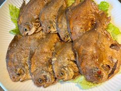 -凤霞海鲜大排档·天津菜(抗震路店)