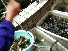 -稻香村鱼庄