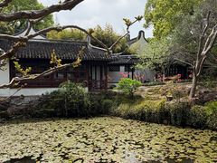 -上海醉白池公园