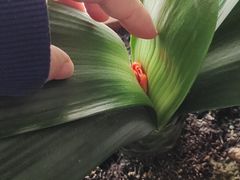 -回家湘菜馆(浮山后店)