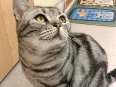 -猫和宫(六道口店)