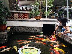 -馨园villa融合菜(东山店)