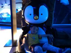 -成都浩海立方海洋公园