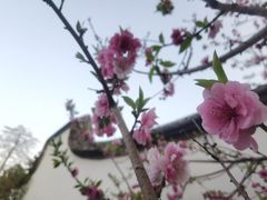 -乌山风景区