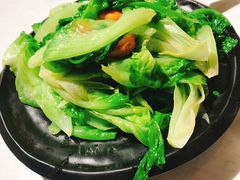 -裕.鹅庄