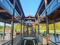 -渤公岛生态公园