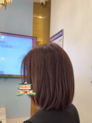 -YESIDO椰岛造型