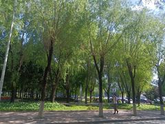 -吉林大学(前卫南区)