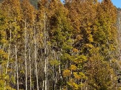 -泸沽湖国家级风景名胜区走婚桥