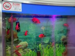 -雅悦齿科(顾村公园店)