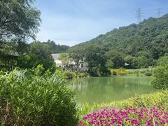 -黄公望隐居地