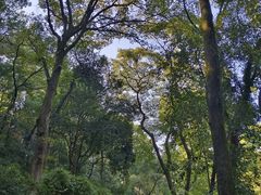 -岳麓山风景名胜区