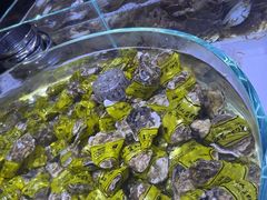 -聚盛源蒸汽海鲜火锅烤肉自助(巨川金海岸购物广场店)