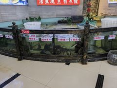 -楚鱼王·河鲜·湖北菜(华农店)