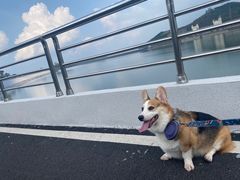 -江南天池