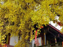 -金堂县云顶石城风景区