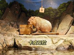-郑州海洋馆