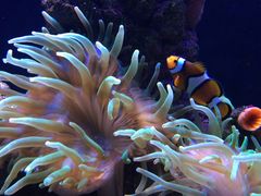 -成都浩海立方海洋公园