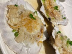 蒜蓉粉丝蒸原只元贝-东海海鲜酒家(中信广场店)