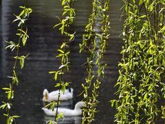 -西安汉城湖景区