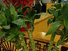 -丫丫汤膳打边炉(宏府408坊店)