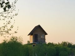 -东郊湿地公园