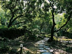 -广州白江湖森林公园